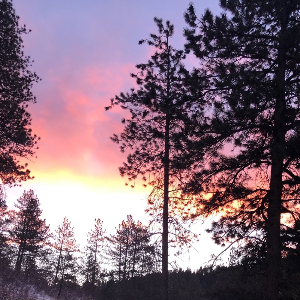 Meet your Posher, Dae